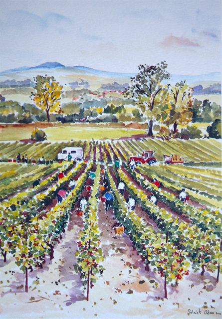 Vendanges à Aÿ — Aquarelle de Patrick Adam