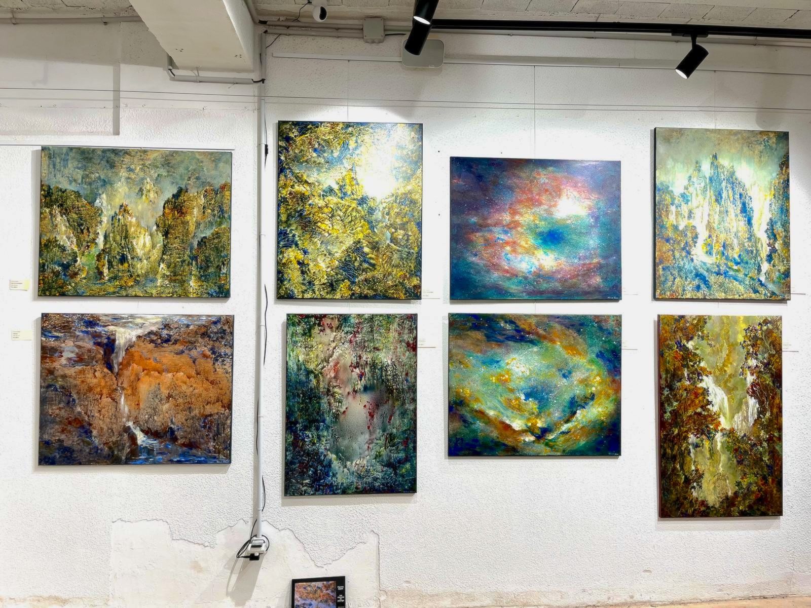 Accrochage de huit toiles de Patrick Adam sur une cimaise de galerie
